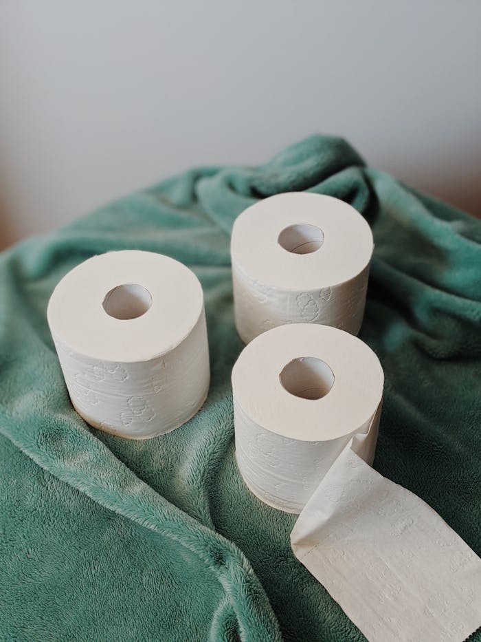 Three toilet paper rolls arranged on a soft green blanket, creating a cozy and clean hygienic feel.